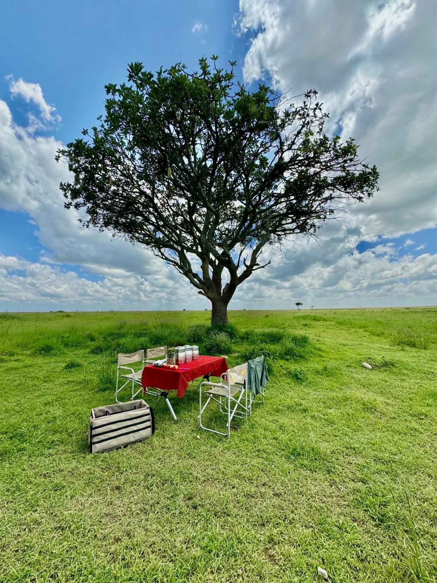 Shimbwe Meadows Home Moshi Exterior foto